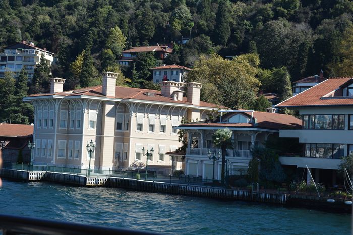 Carry into the palace in Byzantium