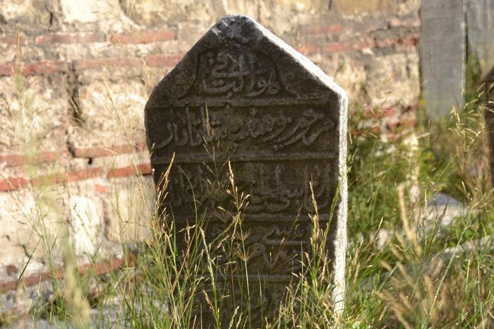 Saxons and leads a small group