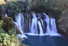 Sultan Abdul Hamid II A Ruler Living in Fear