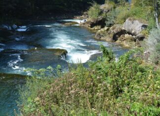 The Harbour of Sophia History and Significance